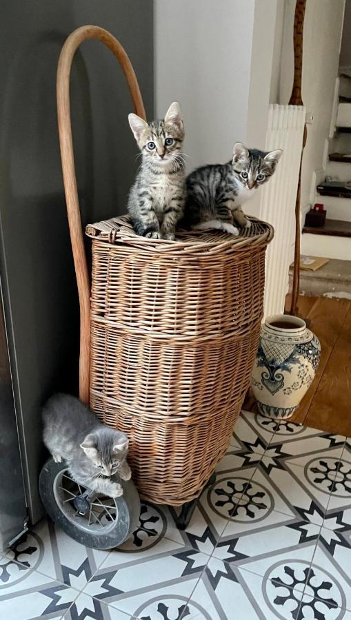 Maison Du Bonheur فيليرز سور مارن المظهر الخارجي الصورة